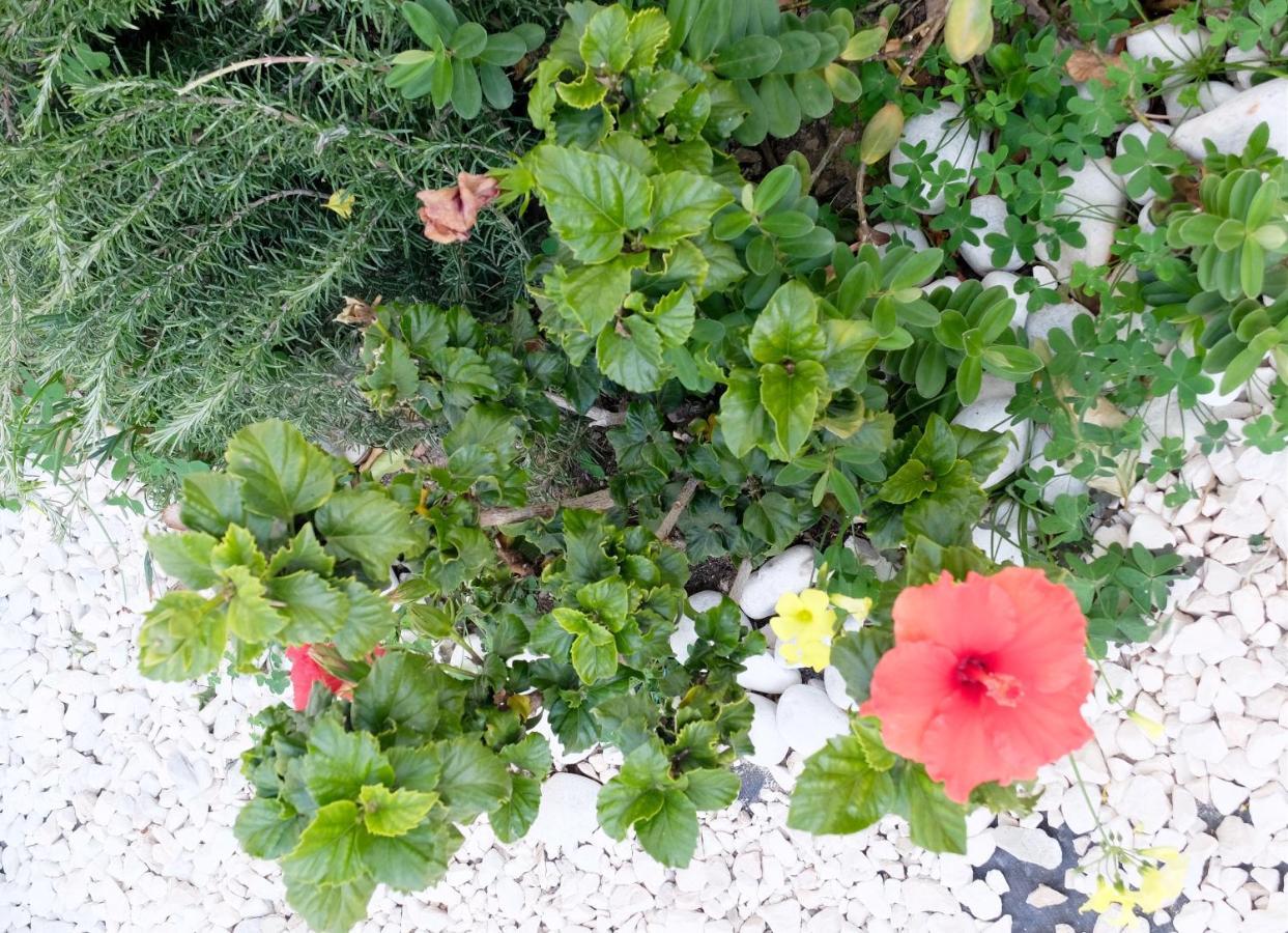 B&B Casa Louisa, Torre Del Mar- Valleniza เบเลซ-มาลากา ภายนอก รูปภาพ