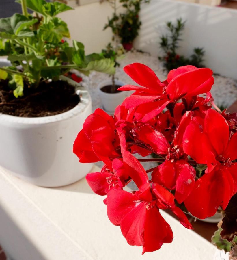 B&B Casa Louisa, Torre Del Mar- Valleniza เบเลซ-มาลากา ภายนอก รูปภาพ